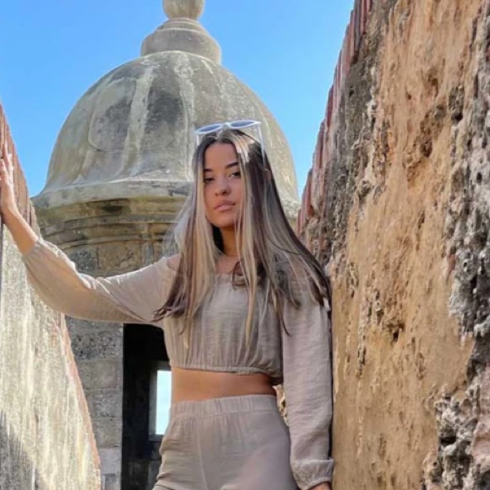 Solid Tan Polyester Crop Top - image 1